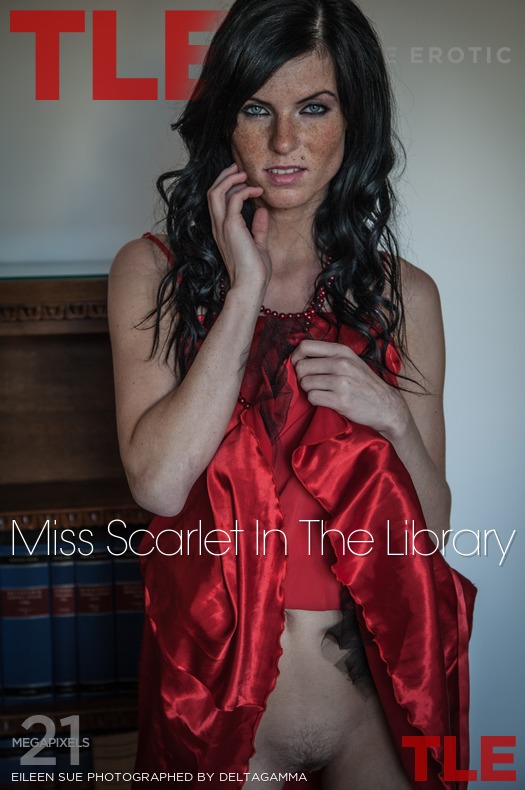 2015-02-11 Eileen Sue - Miss Scarlet in the library